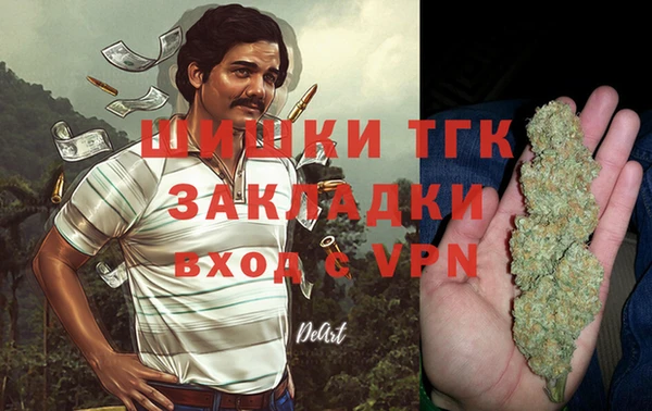 PSILOCYBIN Балахна
