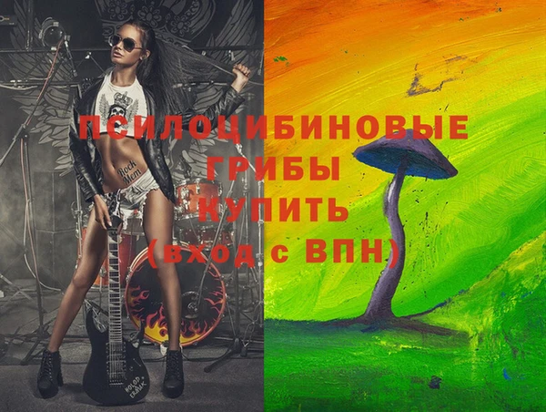 PSILOCYBIN Балахна