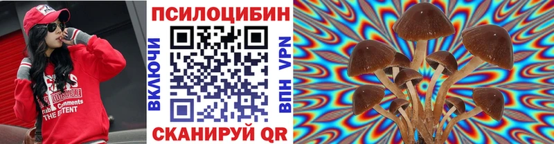 купить   Олёкминск  Псилоцибиновые грибы мицелий 
